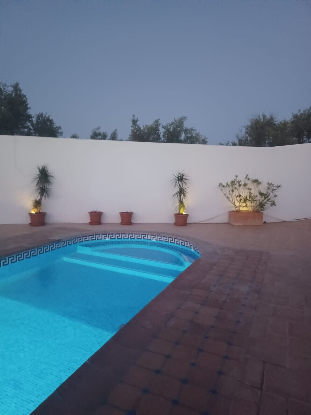 Piscina com parede branca e plantas em vasos.
