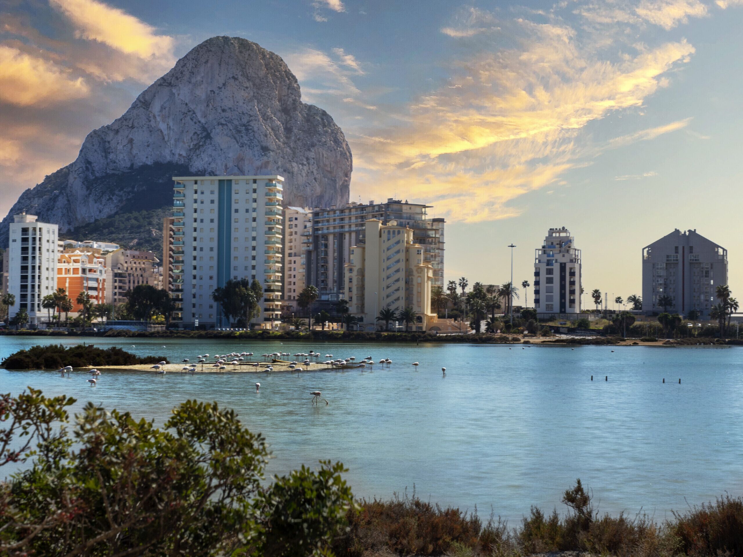 A coastal cityscape with high-rise buildings, a large rock formation, and a calm sea with seagulls.