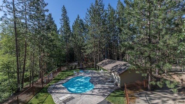 Un jardin à l’arrière de la maison, avec une piscine, entouré de grands pins.