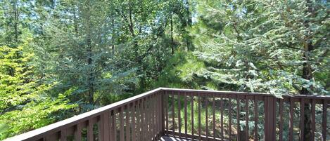 Terrain de lâhĂ©bergement