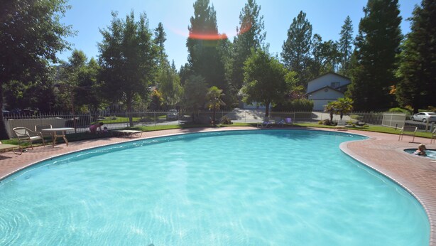 A clear, curved swimming pool surrounded by a brick deck, with lounge chairs and a fence in the background.