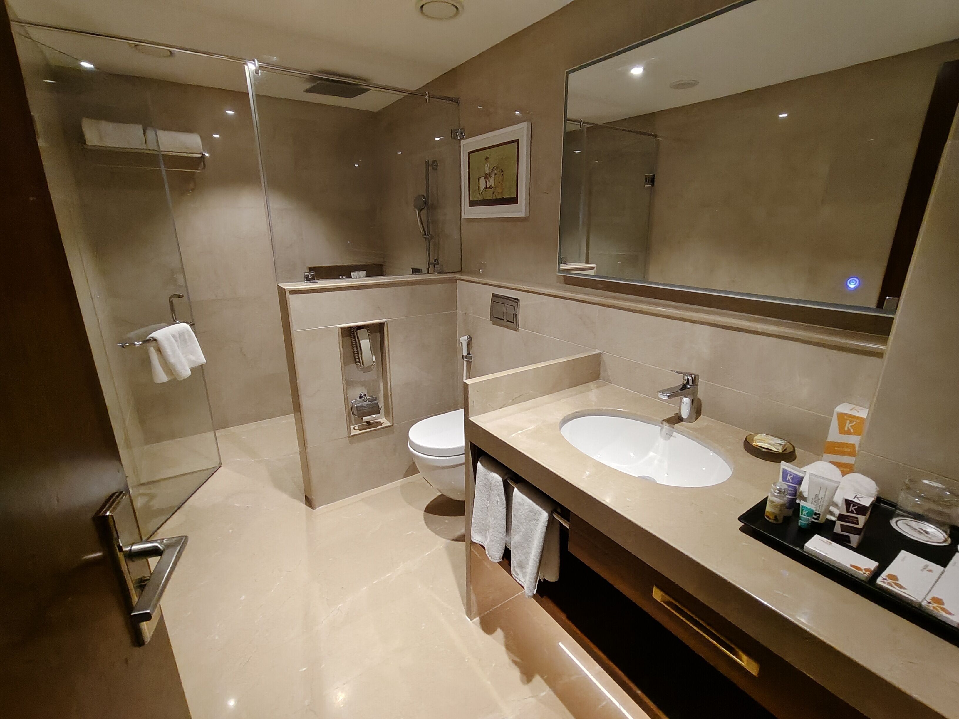 이그제큐티브 스위트 | 욕실 | 샤워 시 설, 무료 세면용품, 타월