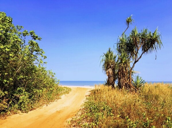 Beach nearby - SUNSETS @ DUNDEE Overlooking the water (Dundee Beach)