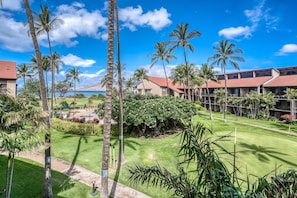A resort with multiple buildings, palm trees, and a well-maintained lawn.