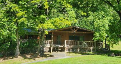 Lakeview Lounge. 3 bedroom cabin surrounded by national forest.