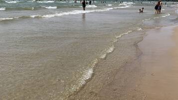 Beach nearby, white sand, rowing