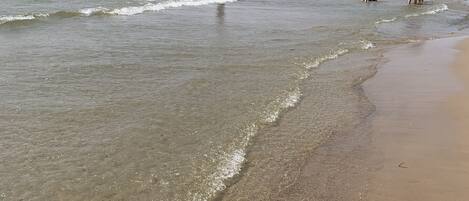 Beach nearby, white sand, rowing