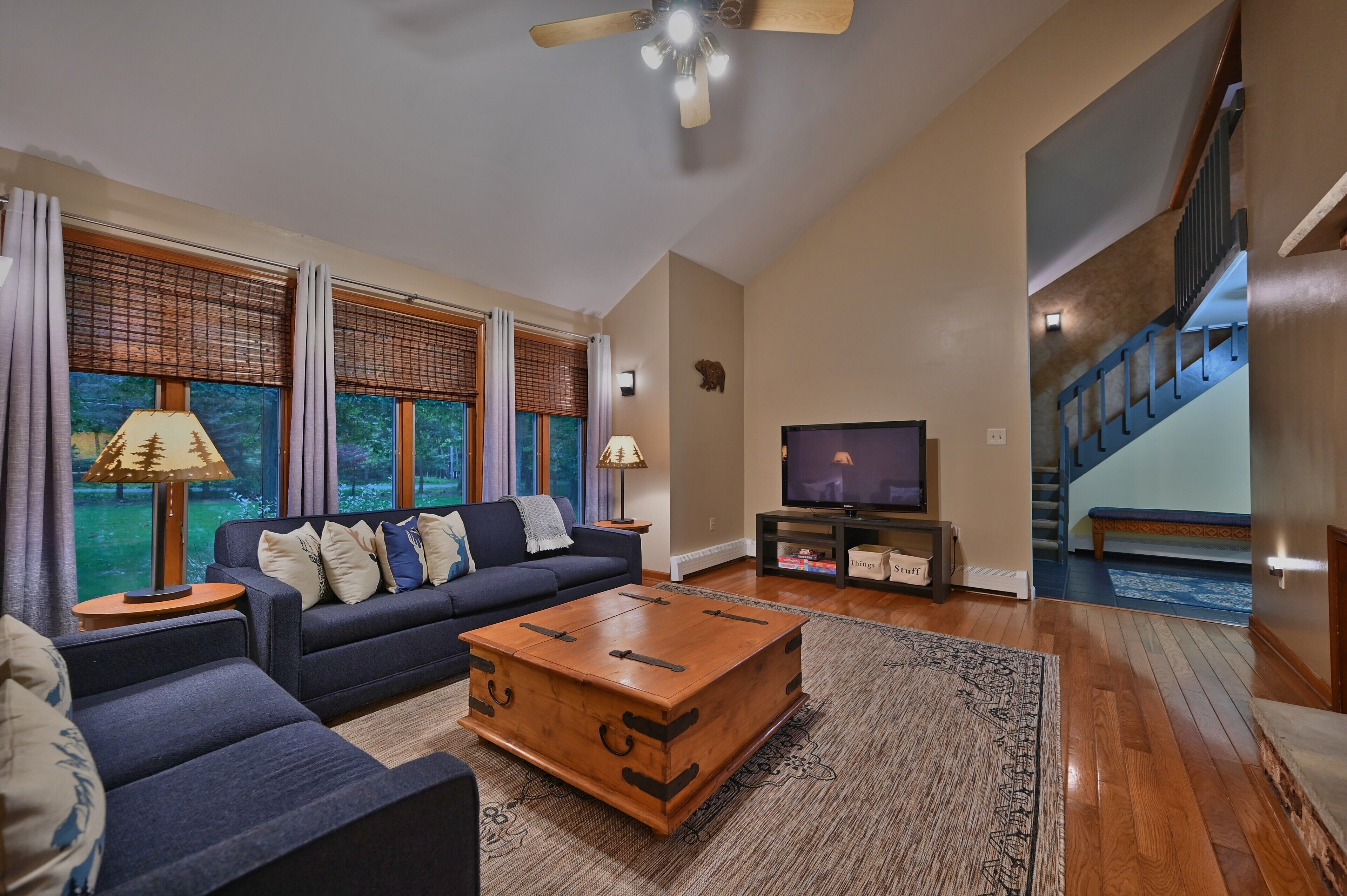 Smart TV, fireplace, video games, books