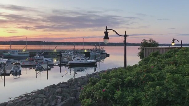 Un puerto deportivo con barcos amarrados, una superficie acuática tranquila y un atardecer de fondo.