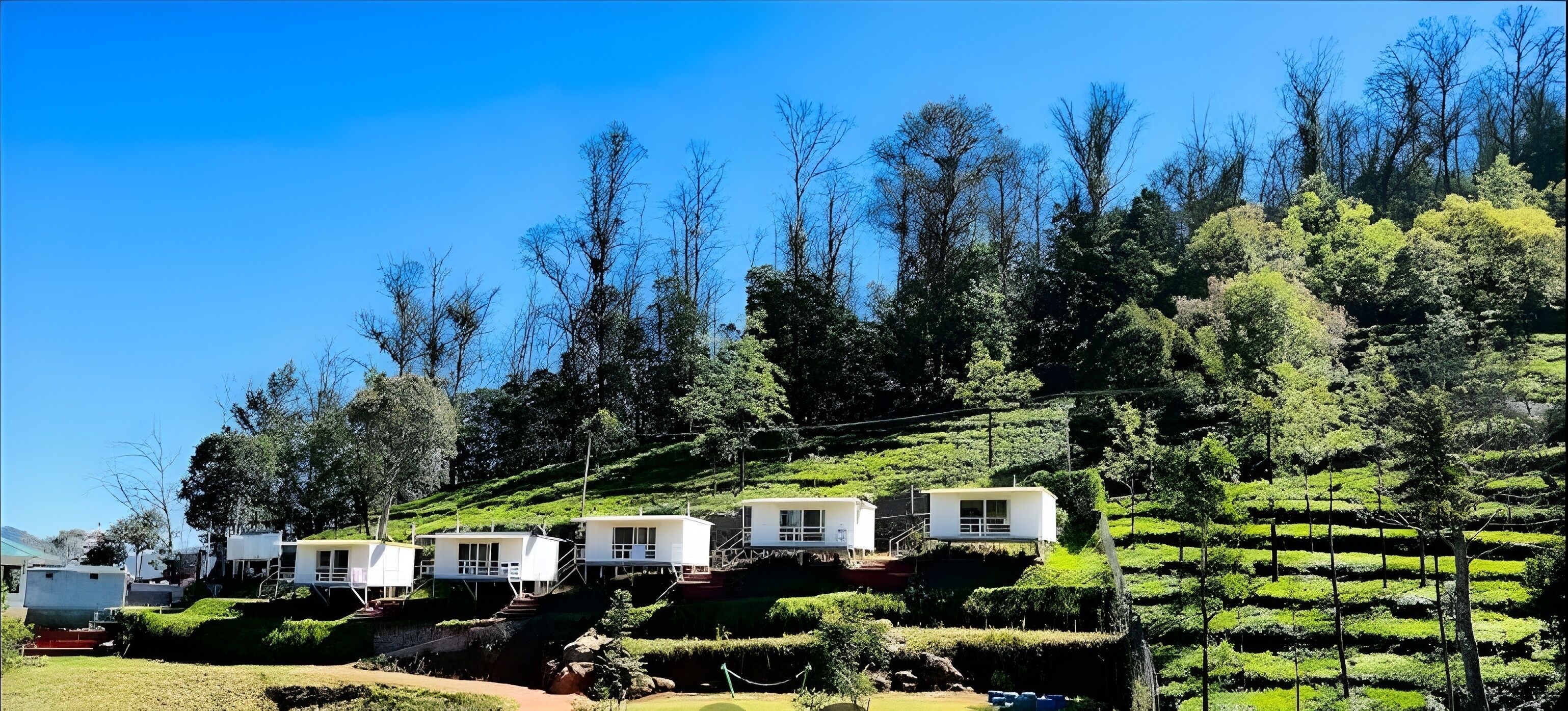 Habitación Deluxe | Wifi gratis y ropa de cama 