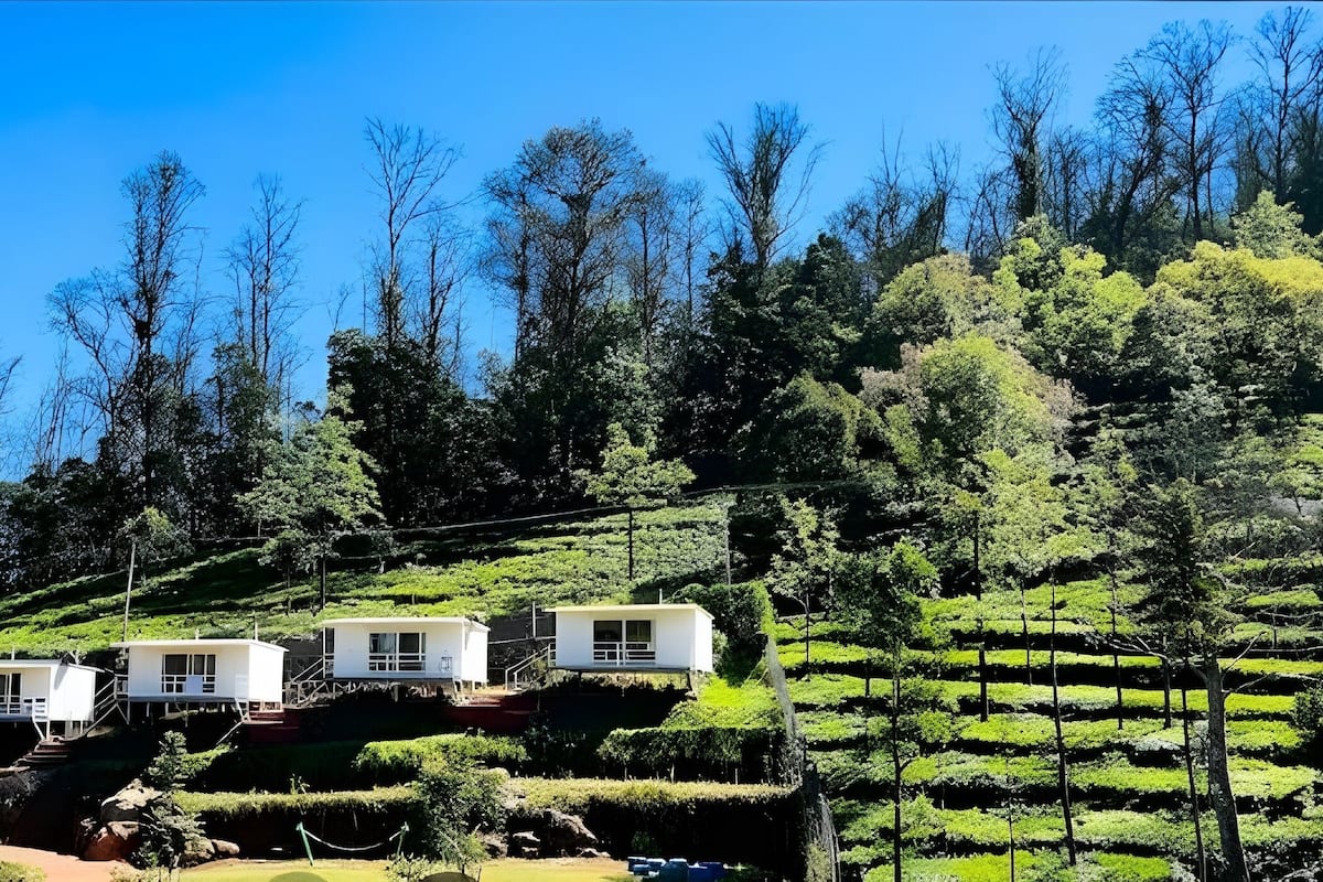 Une rangée de cabanes blanches sur une colline, sous un ciel bleu dégagé.