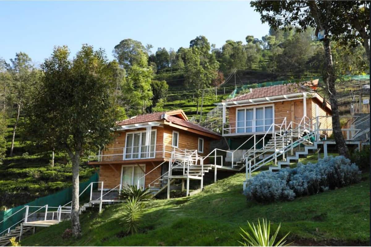 Une cabane en bois avec un escalier menant à une terrasse, entourée d’une végétation luxuriante et d’un paysage vallonné.
