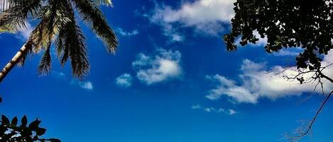 Na praia, espreguiçadeiras, toalhas de praia