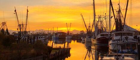 Port de plaisance
