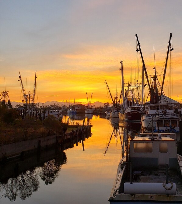 Marina