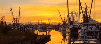 The Lucky Hook, Hyde Co, Waterfront, Pet & Family Friendly w/kayaks, Fireplace