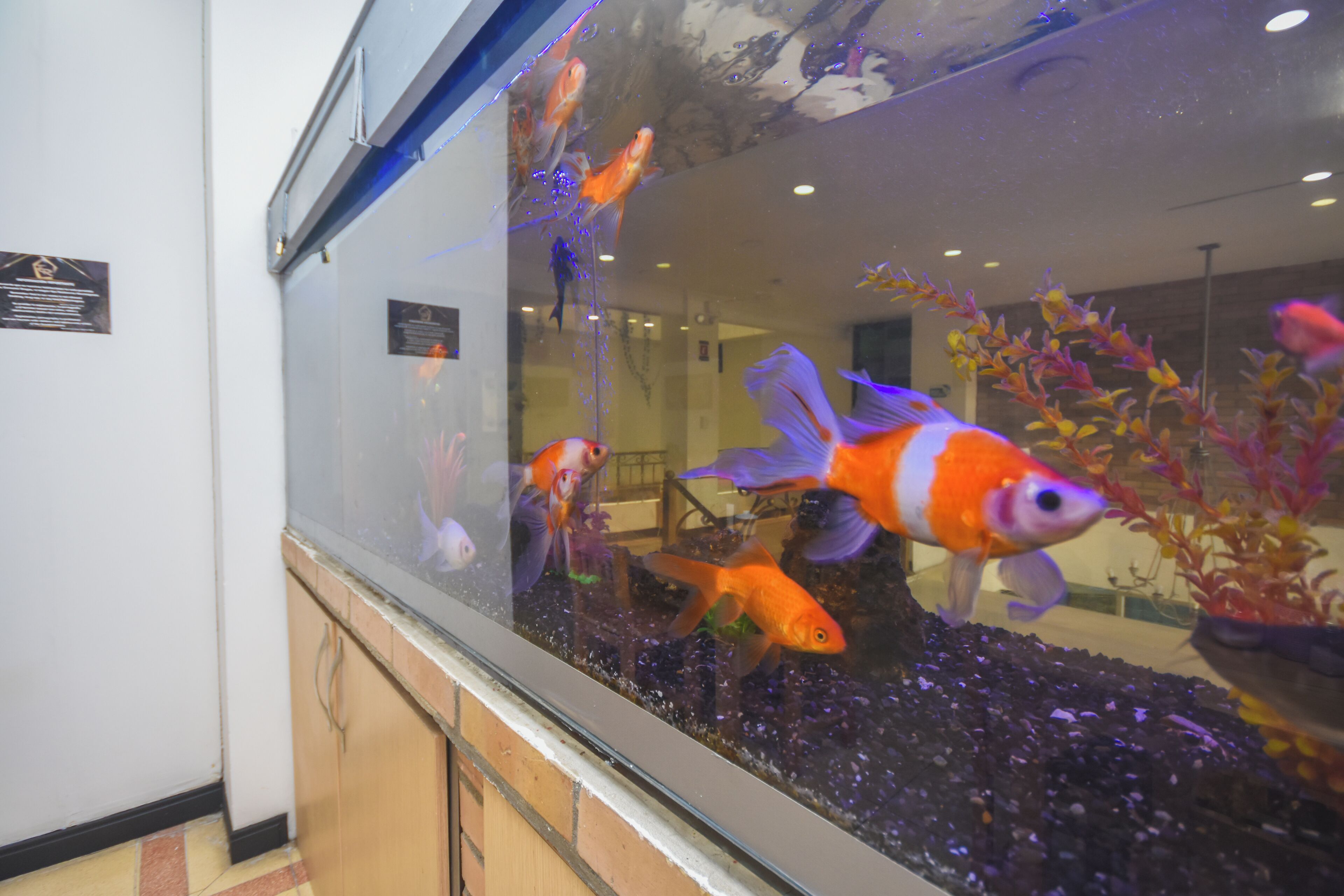 Foto - Hotel Estadio Real