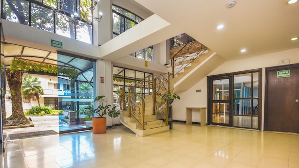 Un hall d’entrée spacieux avec un escalier, une porte d’entrée en verre et une plante en pot.