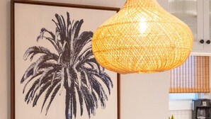 Un'opera d'arte in bianco e nero con una palma, incorniciata su una parete, una lampada a sospensione in vimini e un angolo cottura con una macchina da caffè.