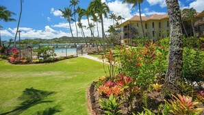 A resort with a pool, palm trees, and a view of the ocean. - Lae Nani 114.  Beachfront, Ground Floor Condo (Kapaʻa)