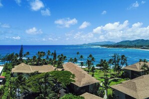 A coastal resort with multiple buildings, palm trees, and a view of the ocean. - Lae Nani 114. Beachfront, Ground Floor Condo (Kapaʻa)