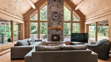 Télévision, cheminée, lecteur de DVD, chaßne hi-fi