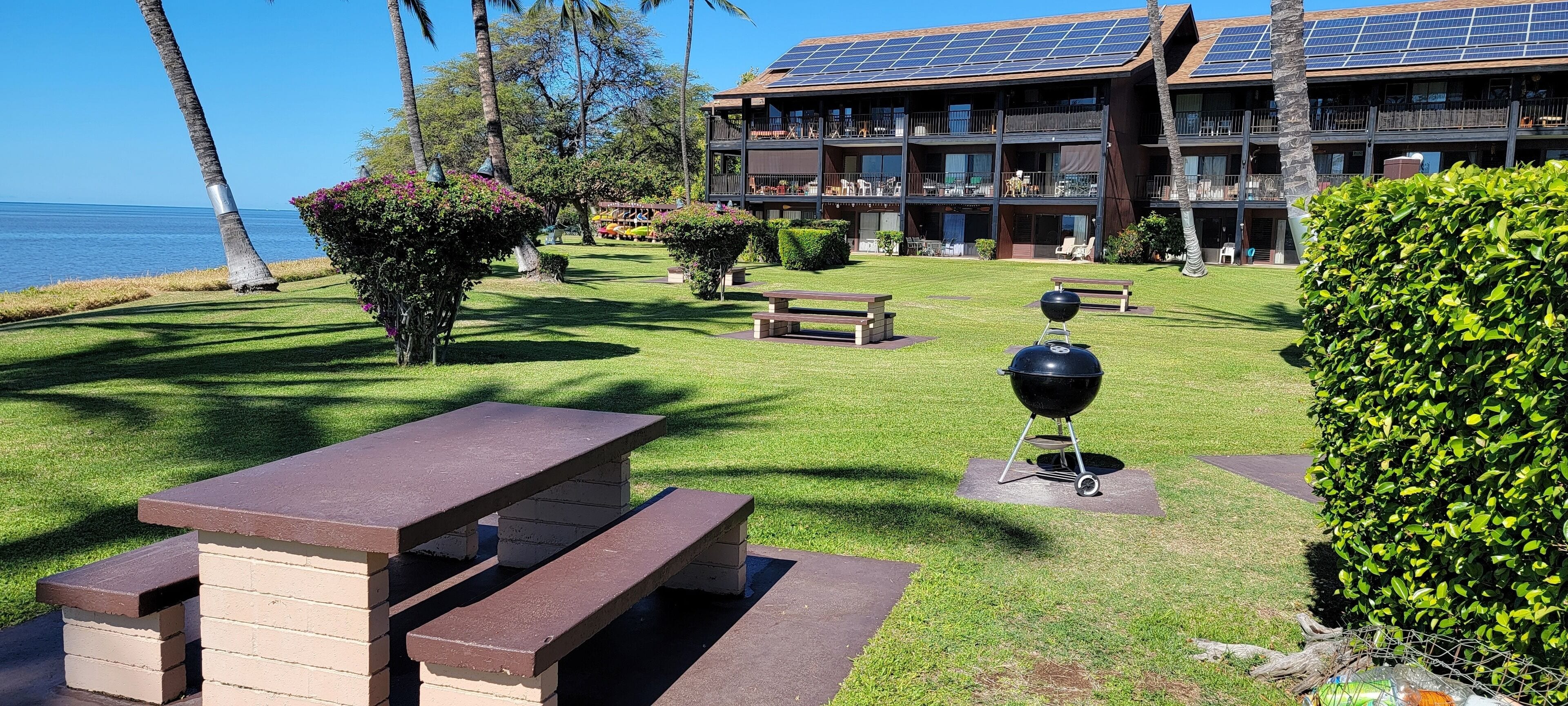 Restauration en plein air