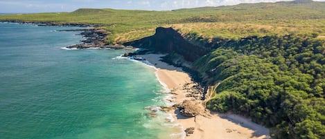 Serviettes de plage