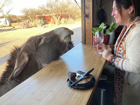Outdoor dining. Ranchito Paraiso: Pet-friendly Rustic Elegance in the Desert