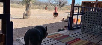 Ranchito Paraiso: Pet-friendly Rustic Elegance in the Desert 