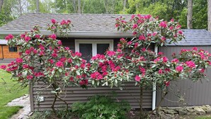Una casa con borde de piedra y un jardín lleno de flores rosadas.