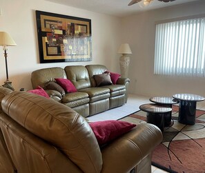 TV, books, video library, stereo