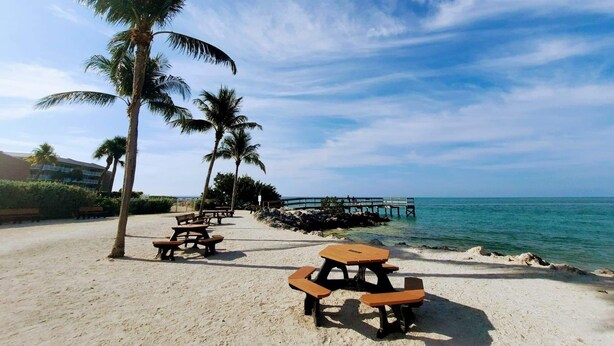 Une zone aménagée au bord de la plage, avec des tables de pique-nique, des palmiers et une jetée qui s’avance dans l’océan.