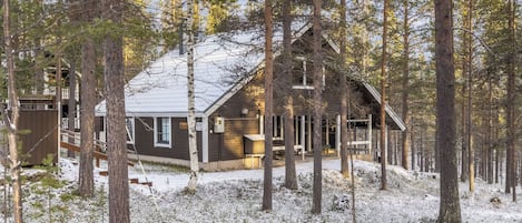 Eine Hütte, umgeben von hohen Bäumen und verschneitem Boden.