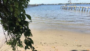 Ein Strand mit klarem Wasser, einer Holzstege und etwas Grün.