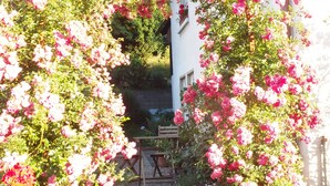 A garden with a wooden bench and a gravel path leading to a building. - stylish, idyllic apartment with mountain view (Stegen)
