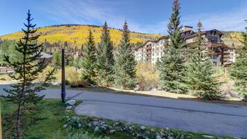 Room, 1 Bedroom | Property grounds