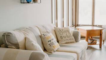 Smart TV, DVD player, books, video library