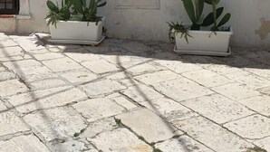 Un bâtiment à la façade blanche, avec une porte noire et des plantes en pot disposées au sol.