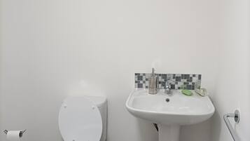 Bathtub, hair dryer, towels, toilet paper