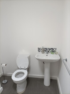 Bathtub, hair dryer, towels, toilet paper - Spacious one bedroom & Living Room family apartment - non smoker (Wakefield)