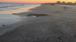 Ein Strand mit blauem Himmel, ruhiger See und Gebäuden in der Ferne.