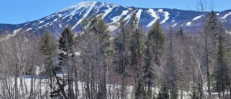 Wintersport/Ski
