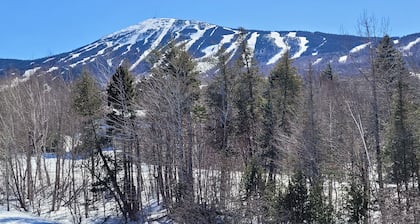 Snowbrook: Ski in/out access with pool, hot-tub, and sauna for après ski!
