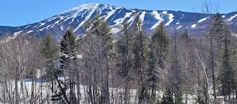 Snowbrook: Ski in/out access with pool, hot-tub, and sauna for après ski!