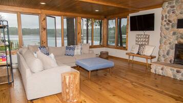 TV connectée, cheminée, lecteur de DVD, livres