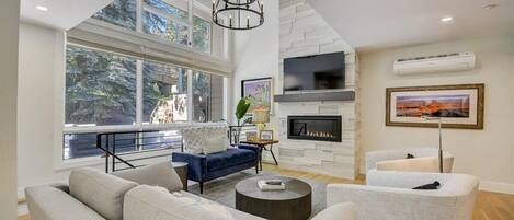 Smart TV, fireplace, DVD player, video library