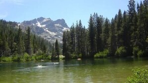 Un paysage de montagne avec un lac et une forêt dense.