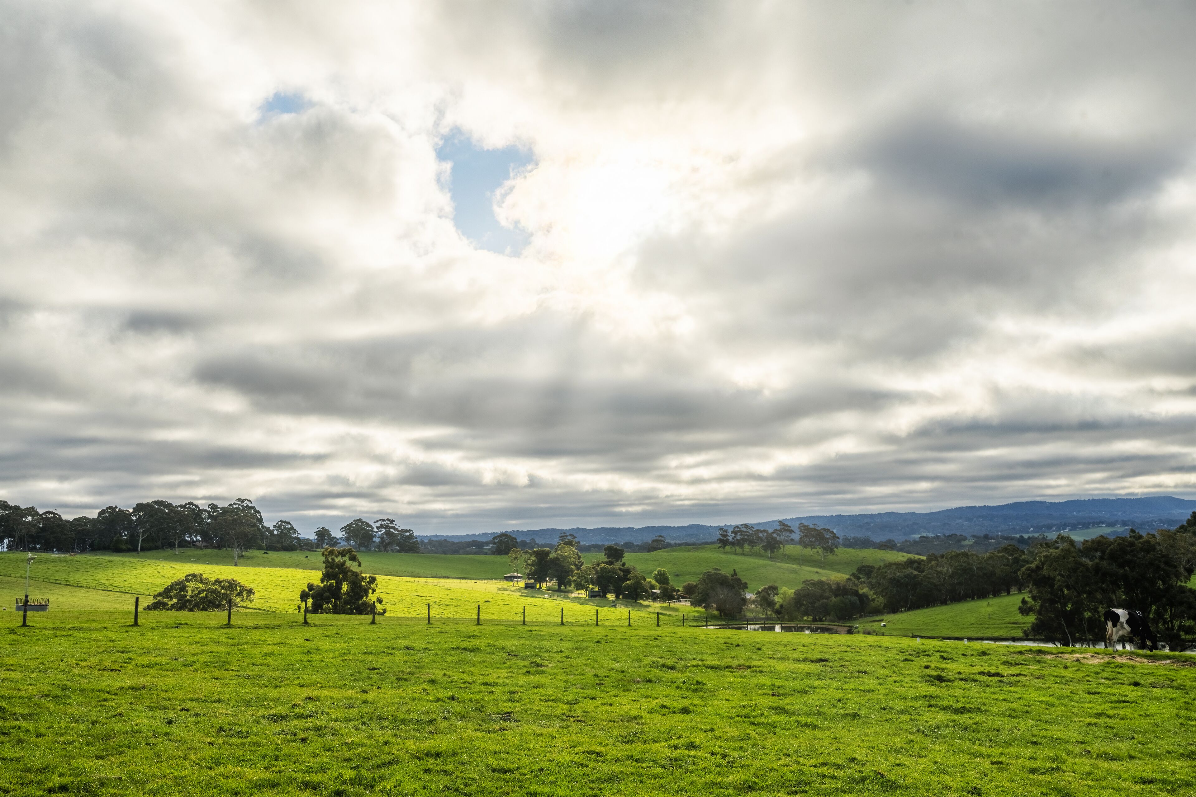 Farm Stay at The Farm Barn — image 11