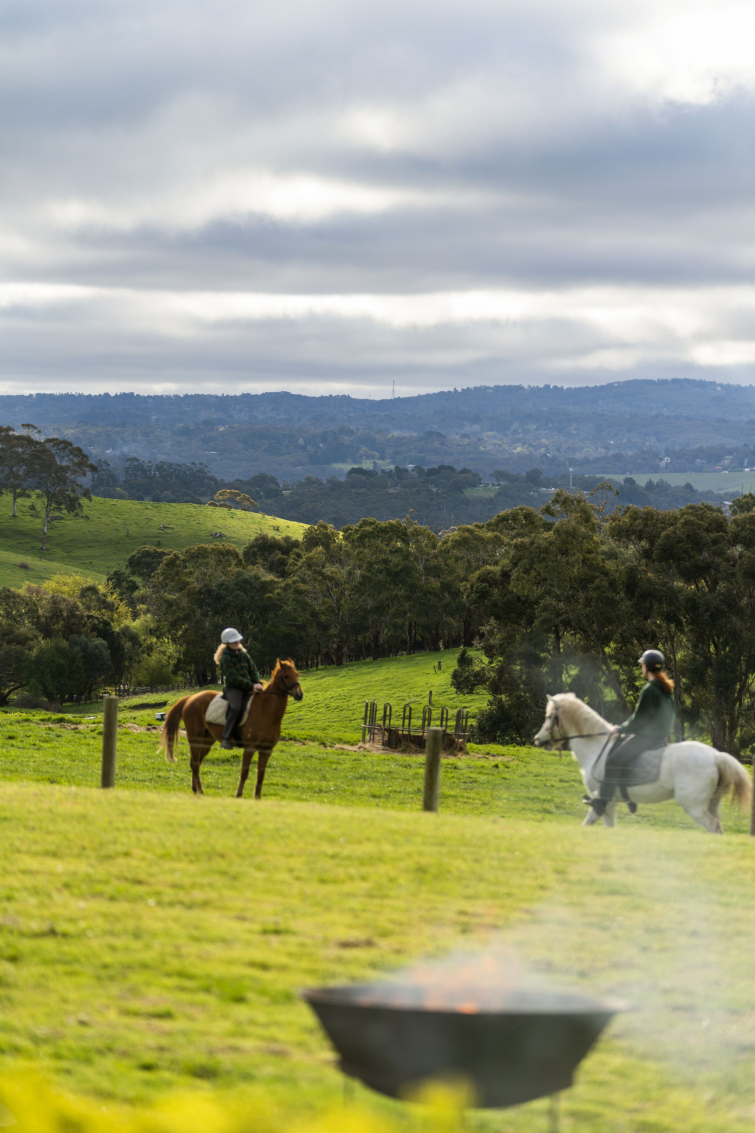 Farm Stay at The Farm Barn — image 29